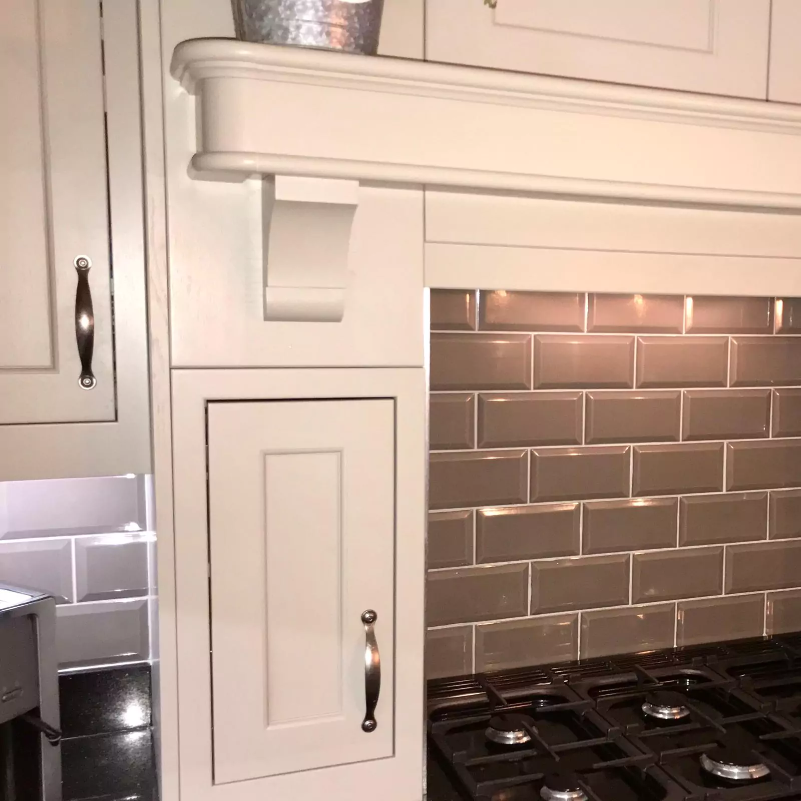 Modern White Kitchen with Dog